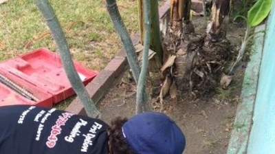 First Option Plumbing Inc. Project Photo